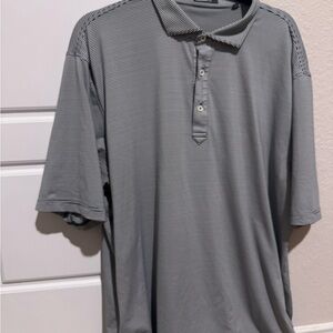 Light Gray Polo Shirt with Athletic Sheen